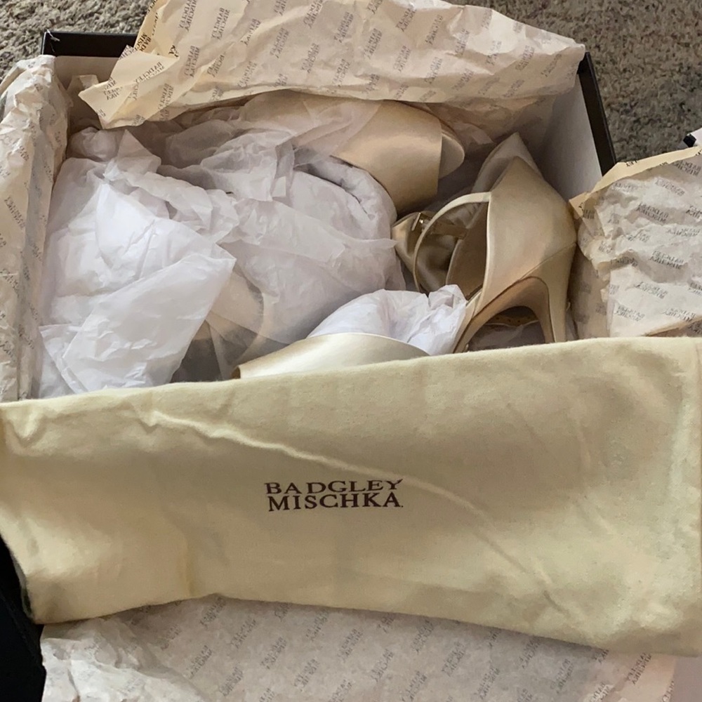 Badgley Mischka formal shoes